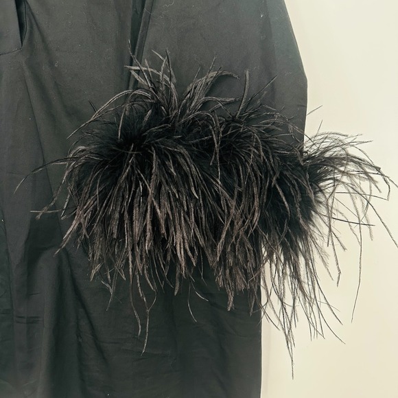 Tuckernuck Blouse Womens XL Boxy Black Feather Willow Glam Pullover Stand Collar - Picture 4 of 9